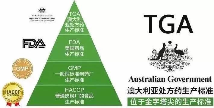 新澳今晚特9点30精选解析、落实与策略