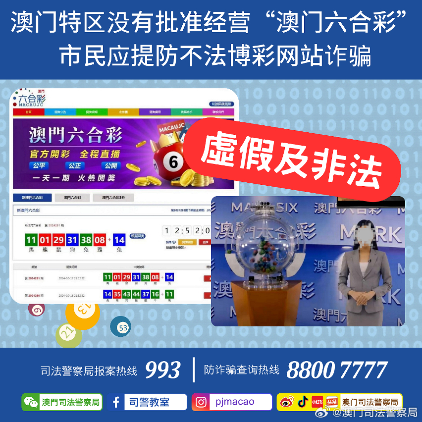 澳门管家婆100%精准图片，精选解析、落实与策略