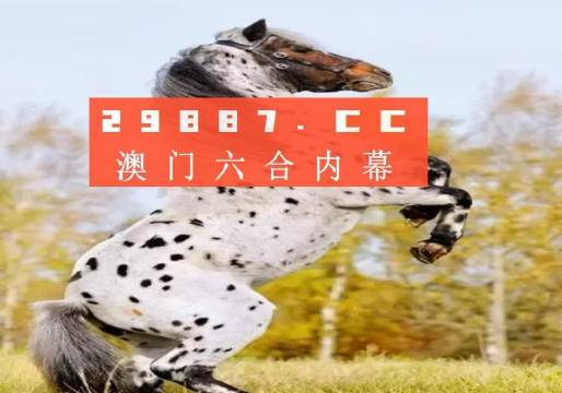 2025年白小姐四肖四码,精选解析、落实与策略