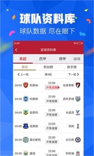 澳彩资料免费的资料大全wwe,精选解析、落实与策略