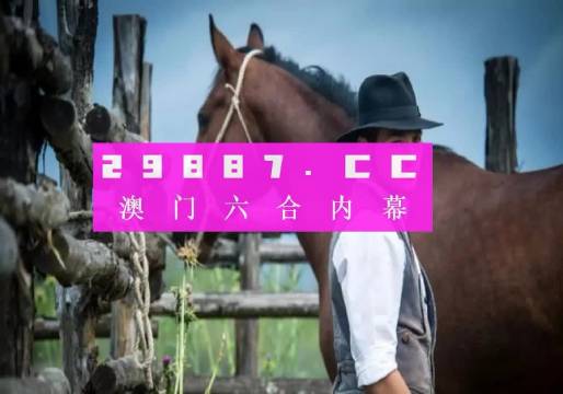 今晚与澳门一肖一码一待一中,精选解析、落实与策略