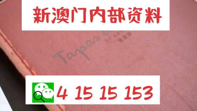 新澳门内部精准公开,精选解析、落实与策略