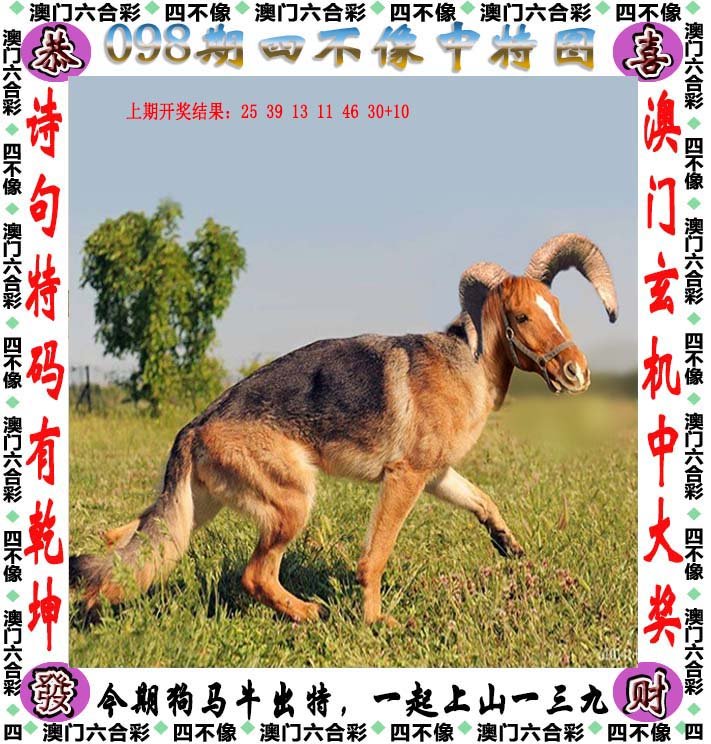 澳门今晚开特马四不像图,精选解析、落实与策略