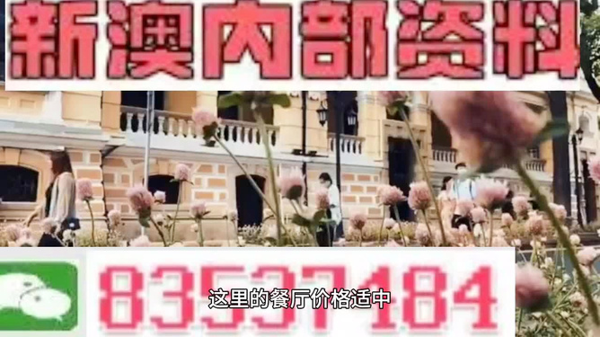 澳门最精准免费资料大全旅游团,精选解析、落实与策略