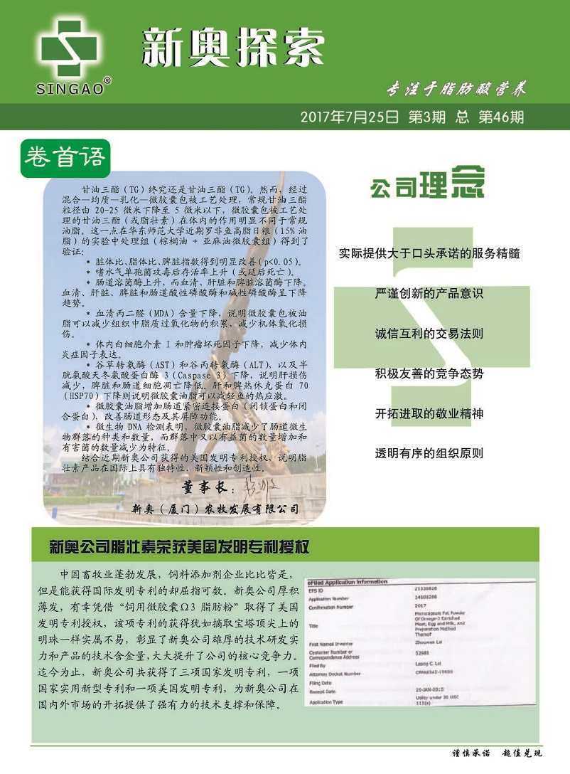 2025新奥精准免费,精选解析、落实与策略