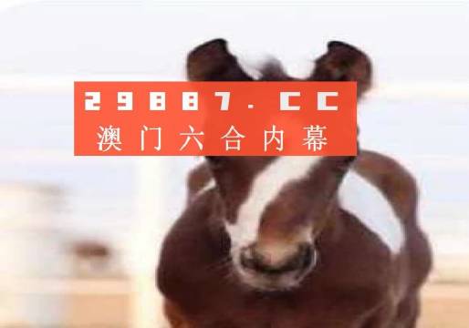 澳门一码一码100精准,精选解析、落实与策略