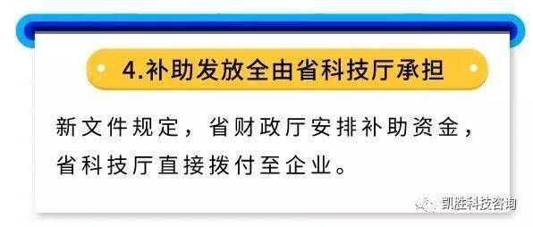 今晚澳门9点35分开什么号码,精选解析、落实与策略